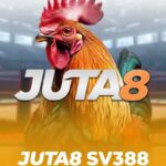 SV3888 JUTA8 Sabong Malaysia